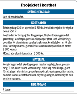 projektet i korthet risig buster