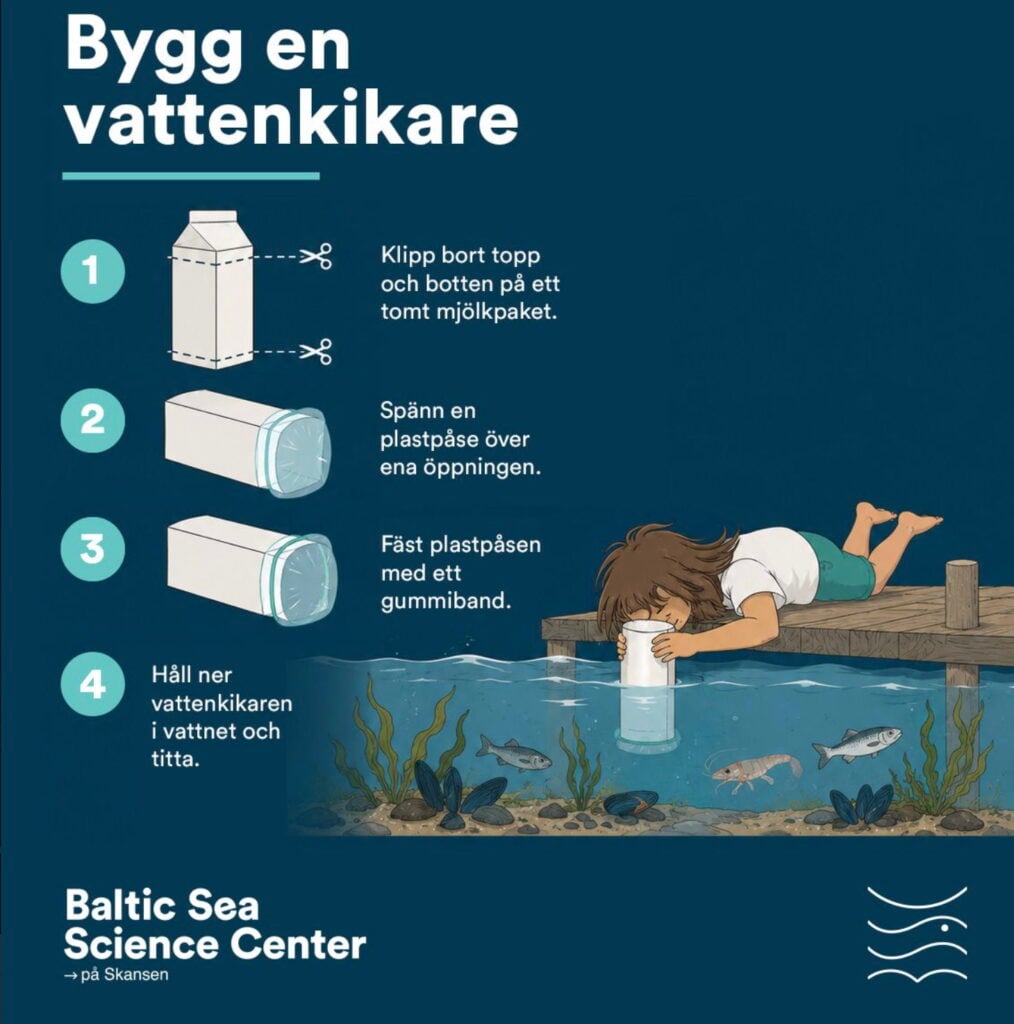 Pojke som tittar ner i vattnet med kikare