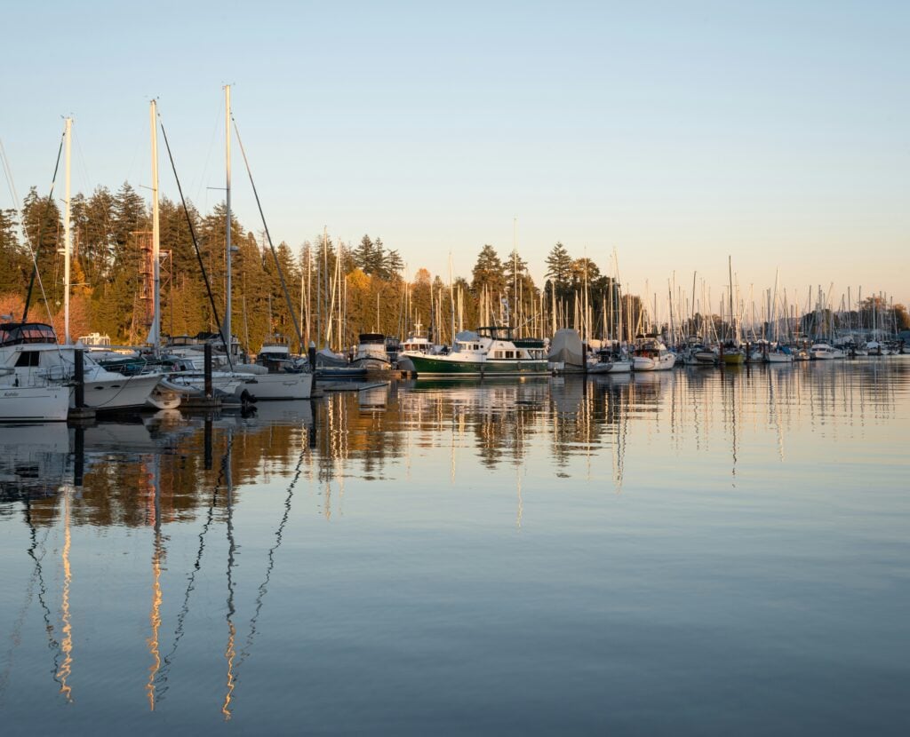 albert stoynov huhvaeawou4 unsplash scaled