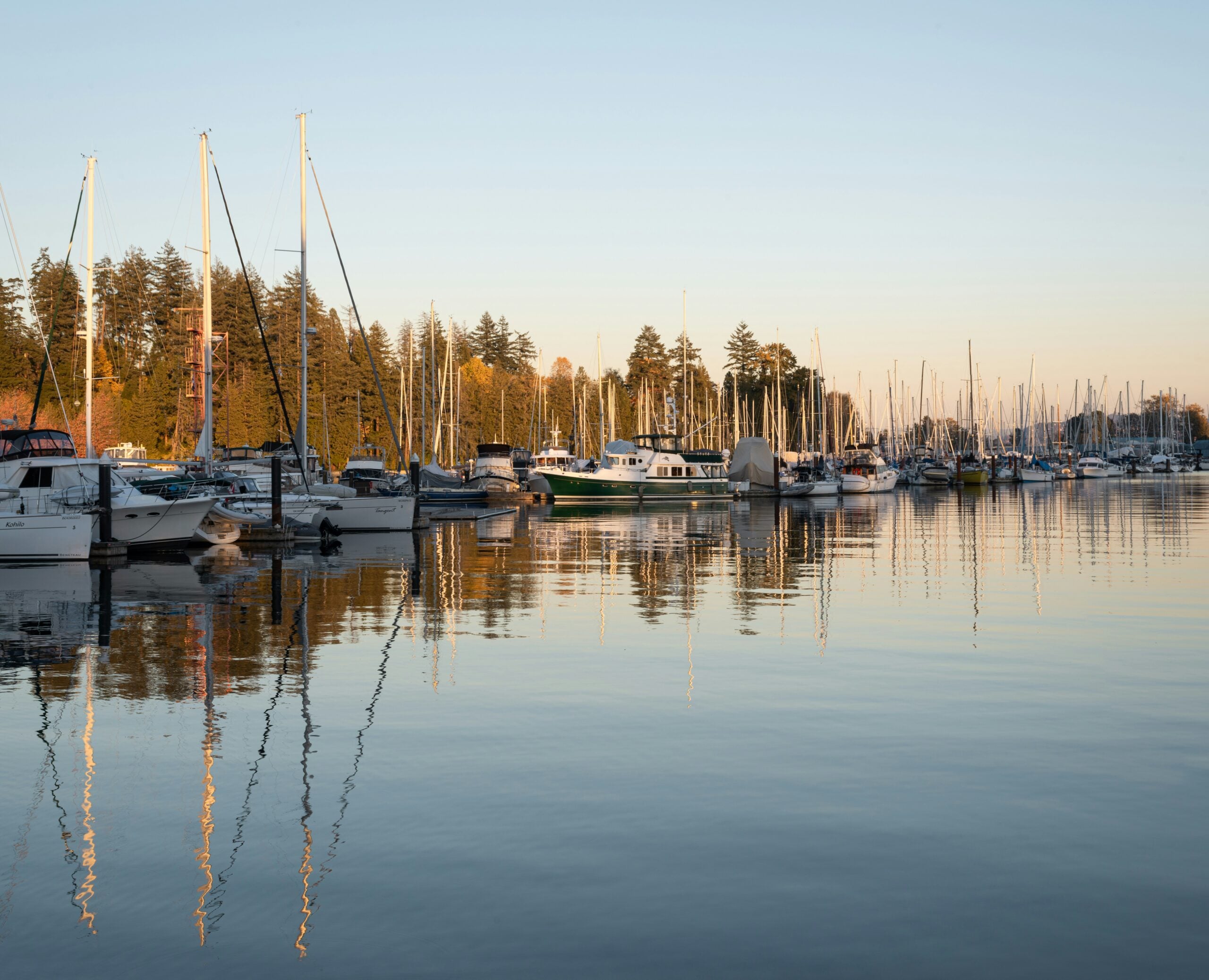 albert stoynov huhvaeawou4 unsplash scaled