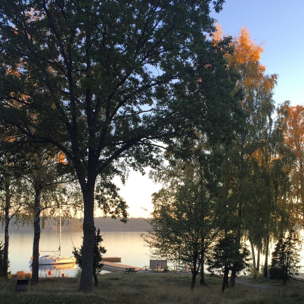 svartso krog img 1877